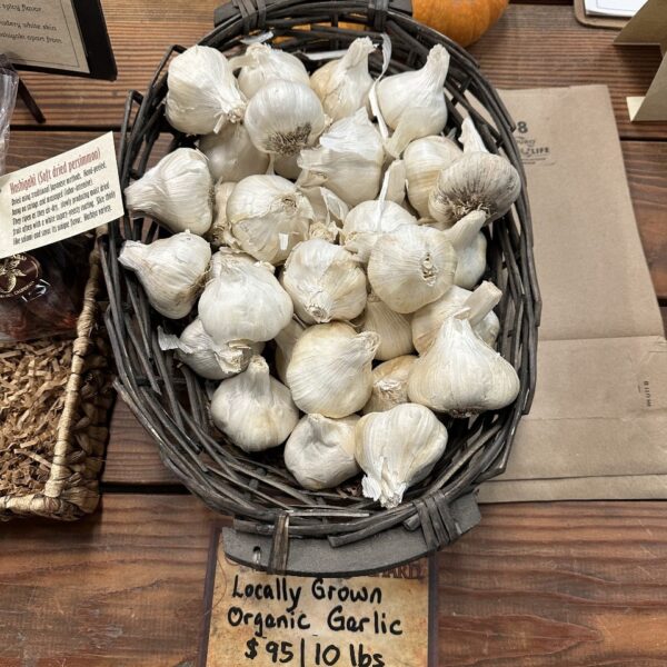 Certified Organic Gilroy California Grown Softneck Garlic 10 lbs