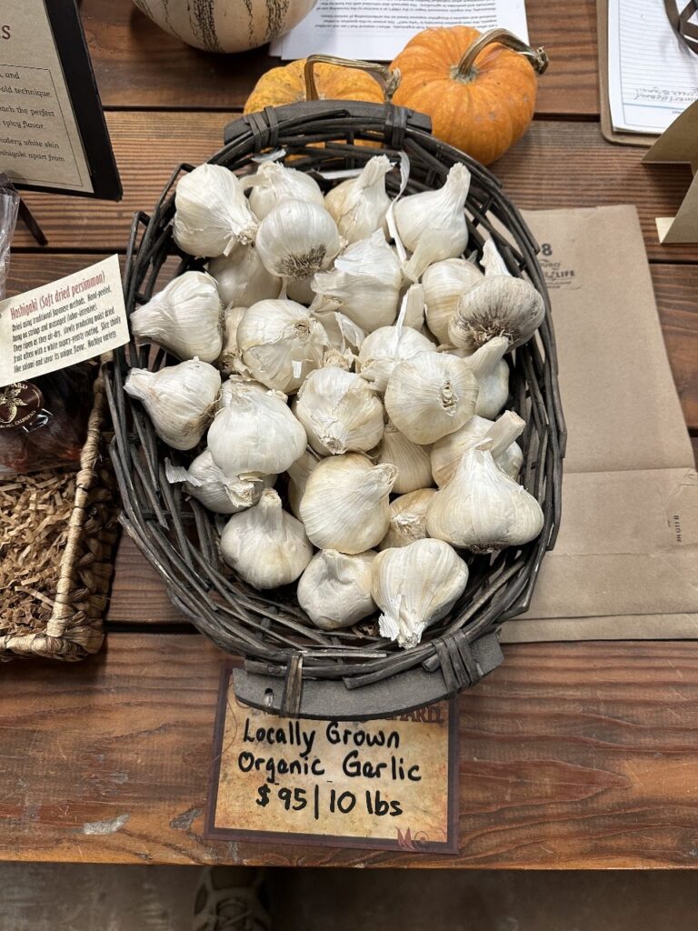 Certified Organic Gilroy California Grown Softneck Garlic 10 lbs