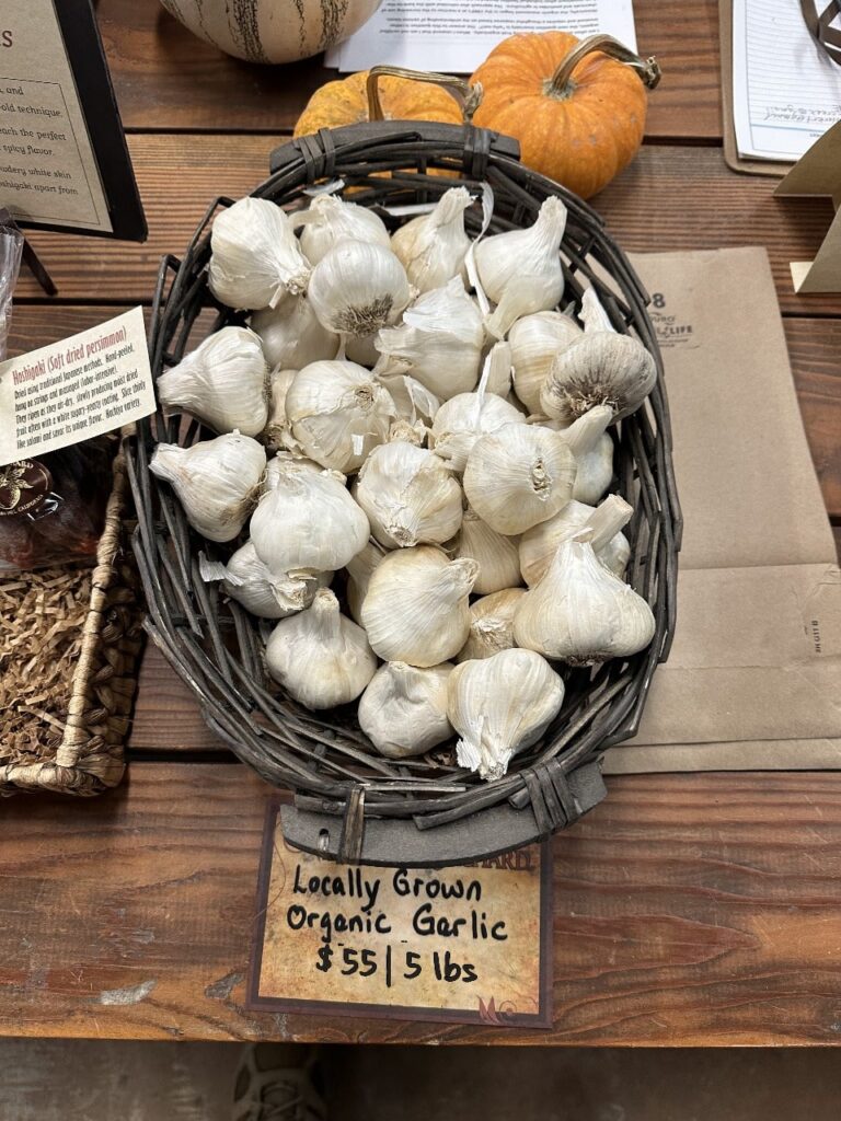 Certified Organic Gilroy California Grown Softneck Garlic 5 lbs